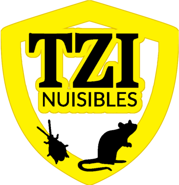 TZI