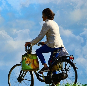 La mobilit&eacute; : de fortes attentes locales